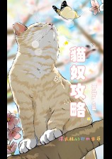 猫奴攻略