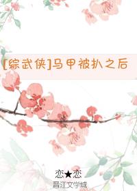 [综武侠]马甲被扒之后